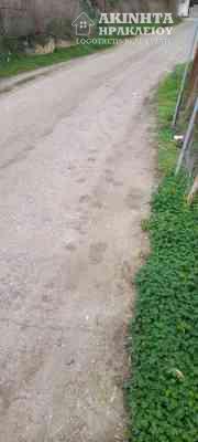 20240124_113908.jpg